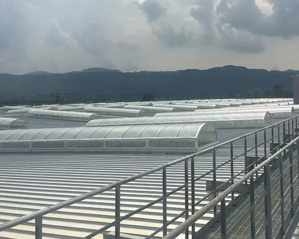 屋頂通風(fēng)天窗設(shè)計概況